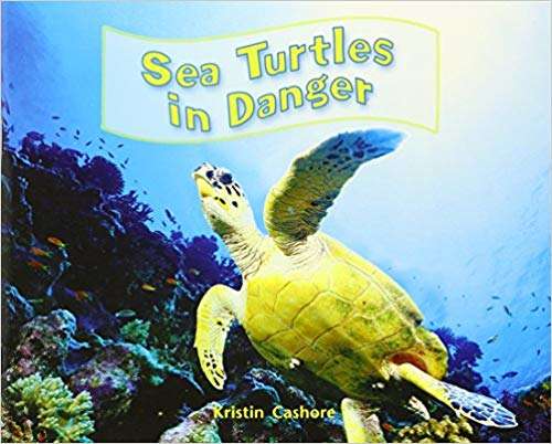 Book cover of Sea Turtles in Danger (Into Reading, Level P #12)
