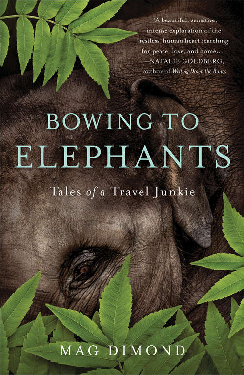 Book cover of Bowing to Elephants: Tales of a Travel Junkie
