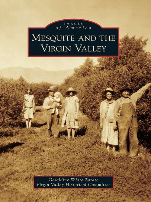 Book cover of Mesquite and the Virgin Valley