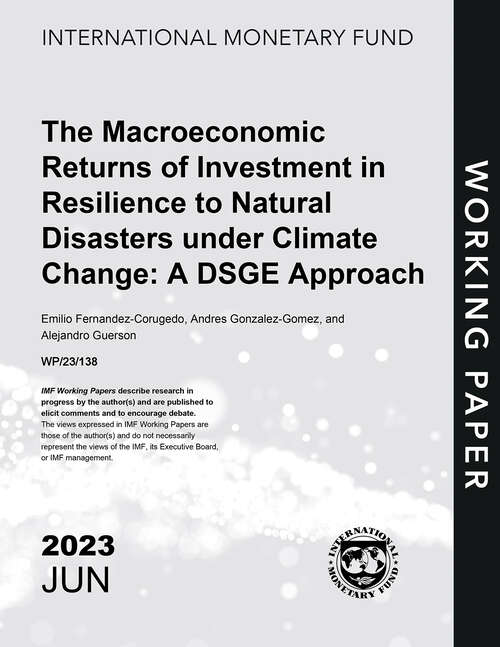 Book cover of The Macroeconomic Returns of Investment in Resilience to Natural Disasters under Climate Change: A DSGE Approach