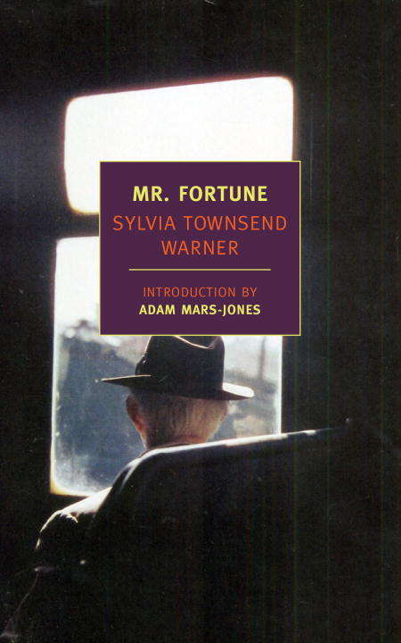 Book cover of Mr. Fortune