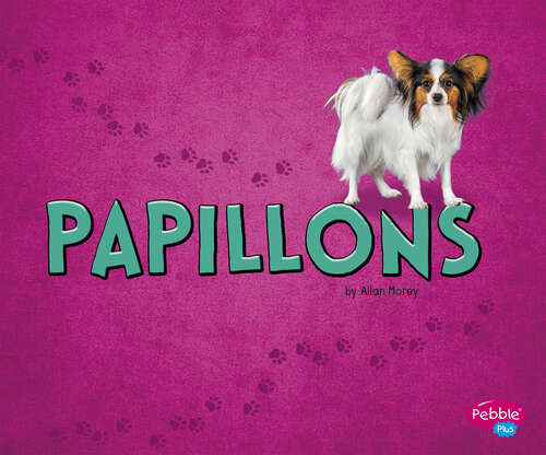 Book cover of Papillons (Tiny Dogs Ser.)