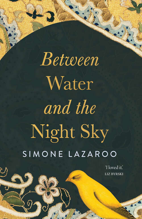Book cover of Between Water and the Night Sky