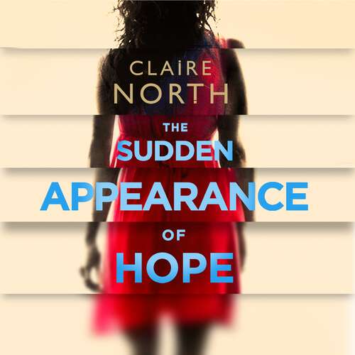 Book cover of The Sudden Appearance of Hope: WINNER OF THE WORLD FANTASY AWARD