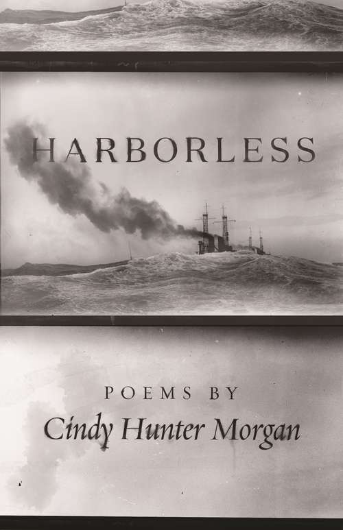 Book cover of Harborless (Made in Michigan Writers Series)