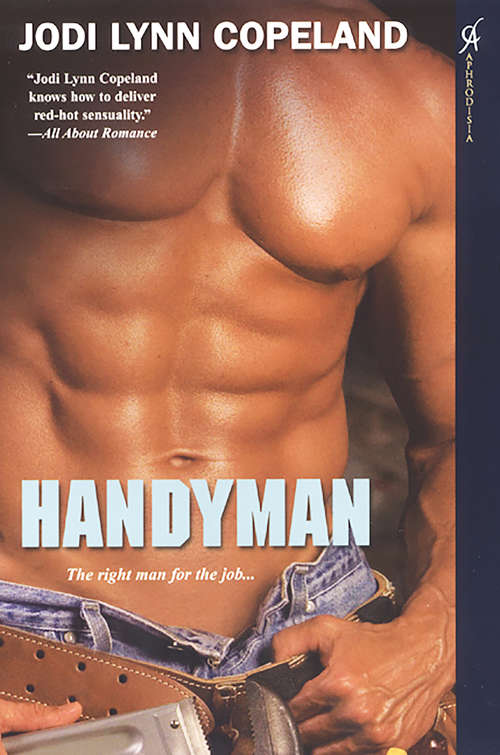 Book cover of Handyman