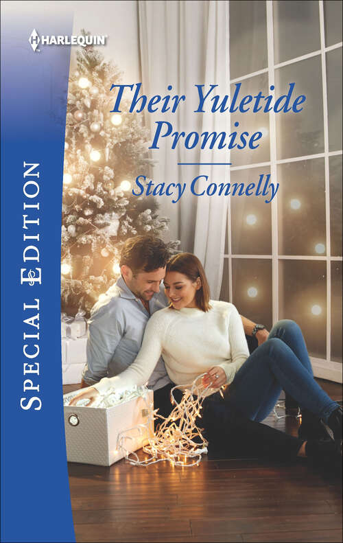 Book cover of Their Yuletide Promise (Original) (Hillcrest House Ser. #4)