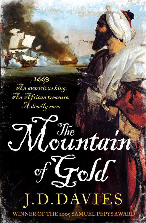 Book cover of The Mountain of Gold (Matthew Quinton Journals)
