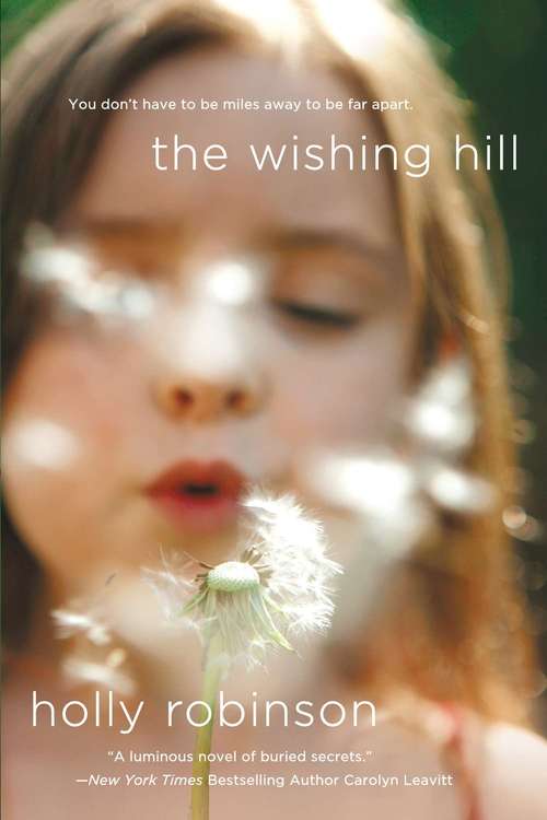 Book cover of The Wishing Hill