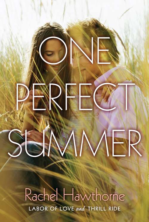 Book cover of One Perfect Summer