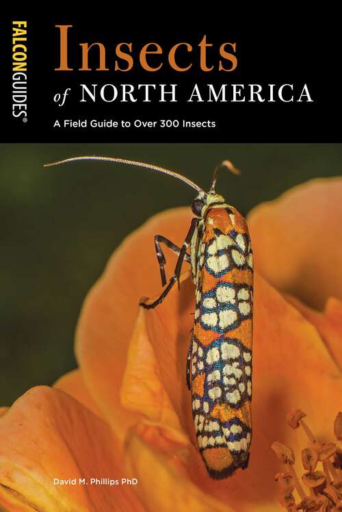 Book cover of Insects of North America: A Field Guide to Over 300 Insects