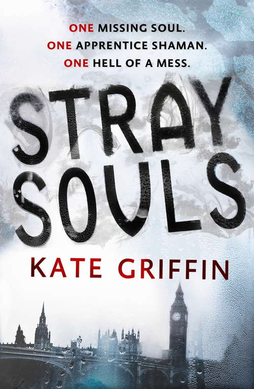 Book cover of Stray Souls (Magicals Anonymous)