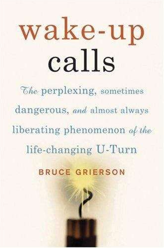 Book cover of U-Turn: What if You Woke Up One Morning and Realized You Were Living the Wrong Life?