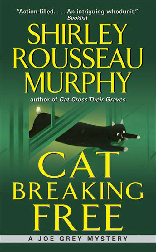 Book cover of Cat Breaking Free