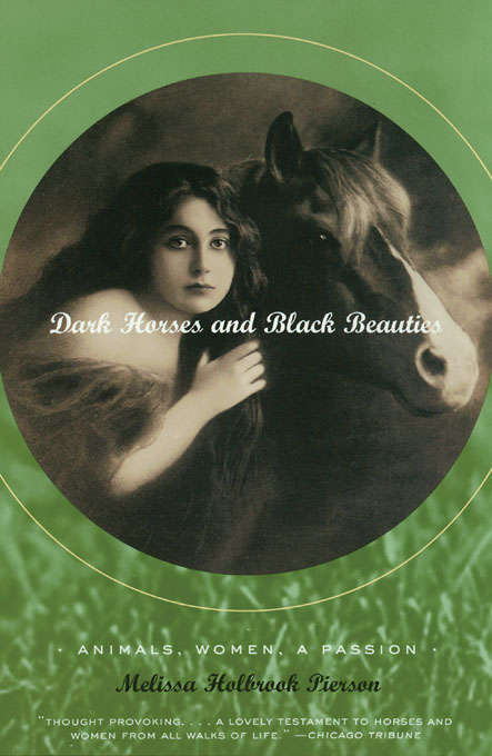 Book cover of Dark Horses and Black Beauties: Animals, Women, a Passion