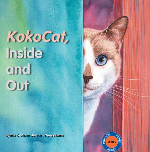 KokoCat, Inside and Out