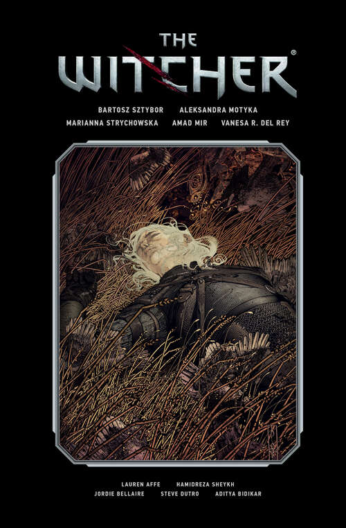 Book cover of The Witcher Library Edition Volume 2