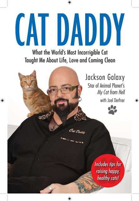 Book cover of Cat Daddy: What the World's Most Incorrigible Cat Taught Me About Life, Love, and Coming Clean