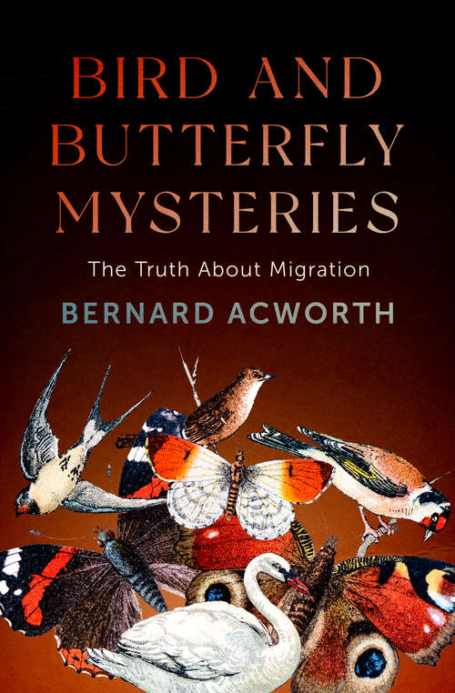 Book cover of Bird and Butterfly Mysteries: The Truth About Migration (Digital Original)