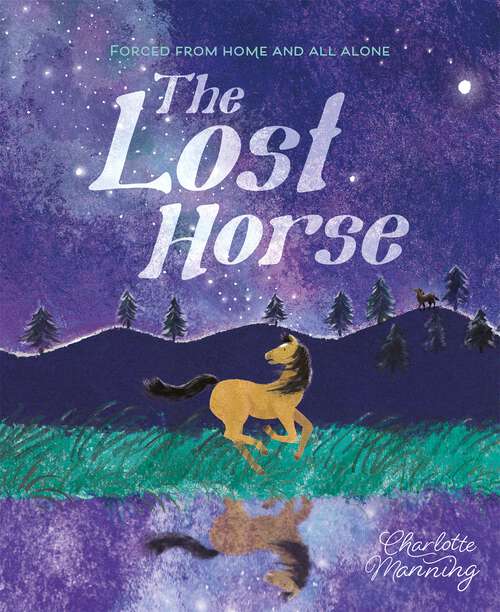Book cover of The Lost Horse: Forced from home and all alone