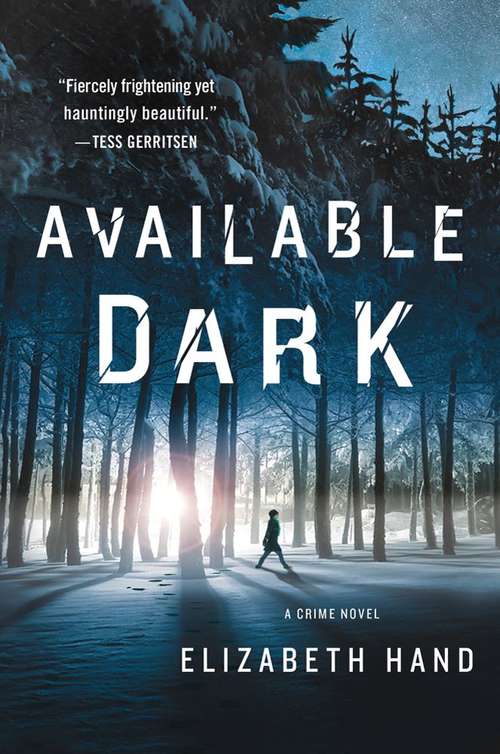 Book cover of Available Dark