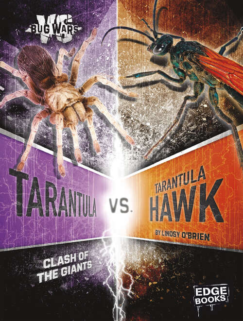 Book cover of Tarantula vs. Tarantula Hawk: Clash Of The Giants (Bug Wars Ser.)