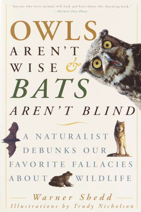 Book cover of Owls Aren't Wise and Bats Aren't Blind: A Naturalist Debunks Our Favorite Fallacies About Wildlife
