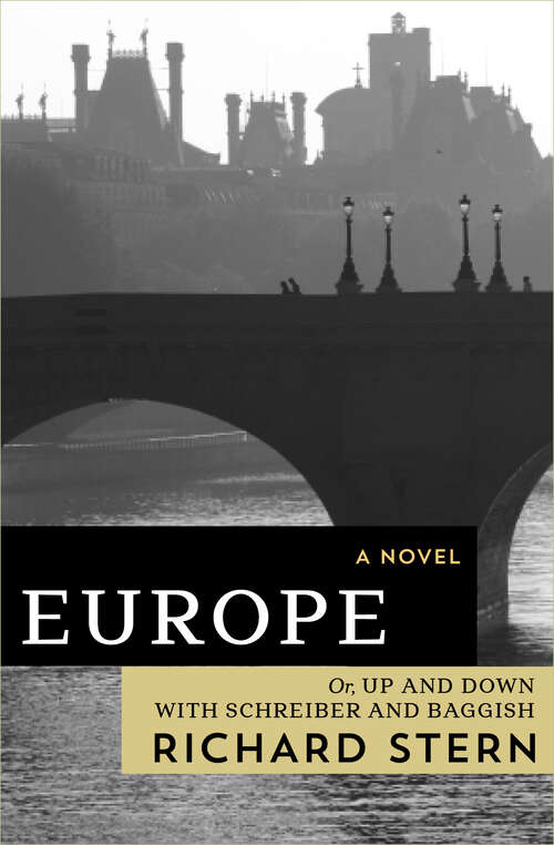 Book cover of Europe: Or, Up and Down with Schreiber and Baggish (Risk, Governance And Society Ser. #11)