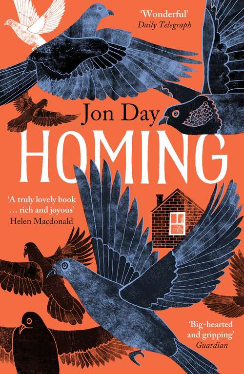 Homing: On Pigeons, Dwellings and Why We Return