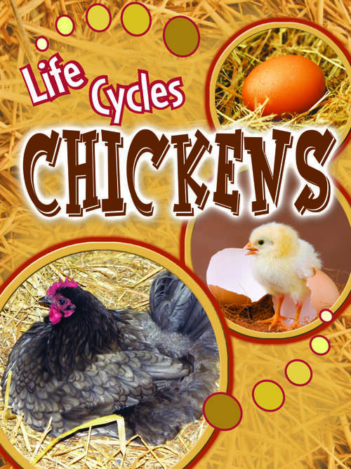 Book cover of Chickens (Life Cycles)