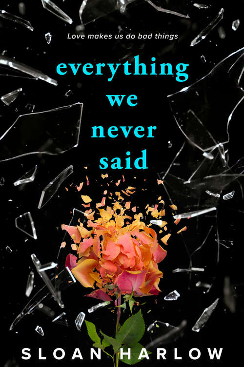Book cover of Everything We Never Said