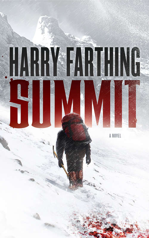 Book cover of Summit: A Novel