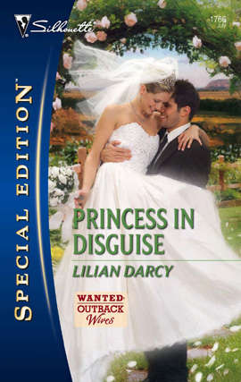 Book cover of Princess in Disguise