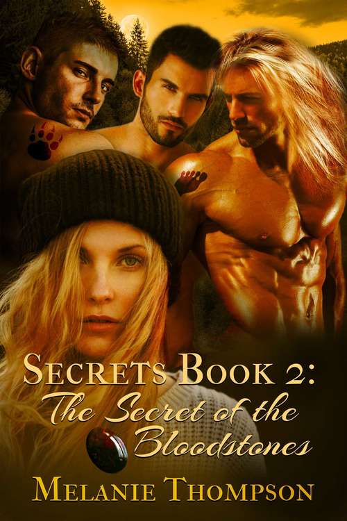 Book cover of The Secret of the Bloodstones (Secrets Book #2)