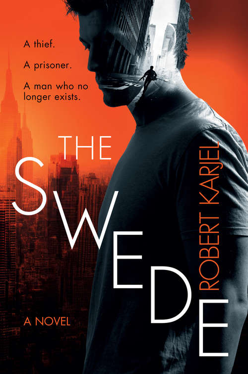 Book cover of The Swede