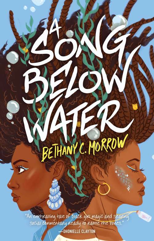 Book cover of A Song Below Water