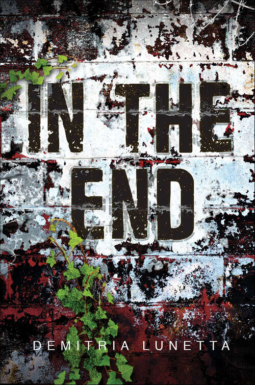 Book cover of In the End