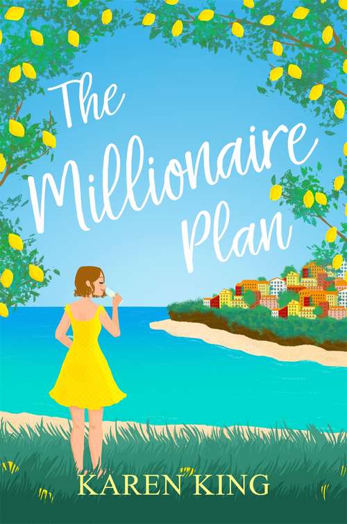 Book cover of The Millionaire Plan