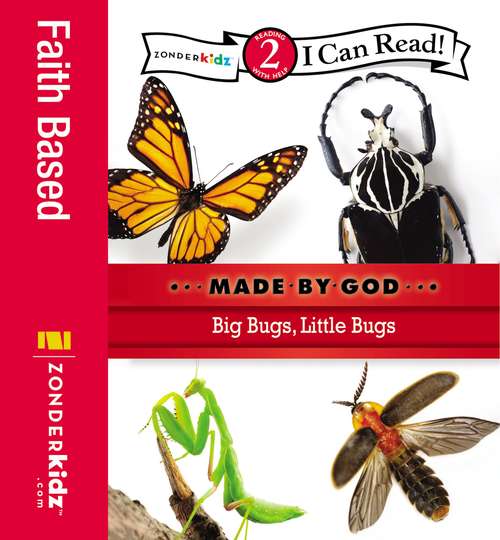Book cover of Big Bugs, Little Bugs