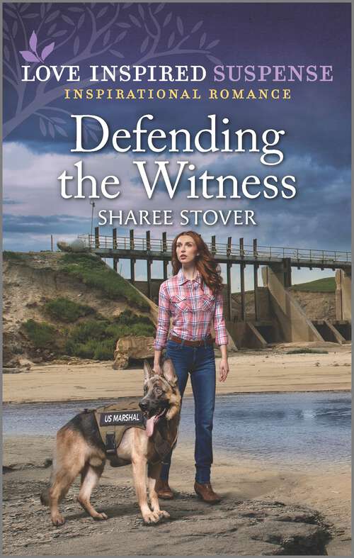 Book cover of Defending the Witness (Original)