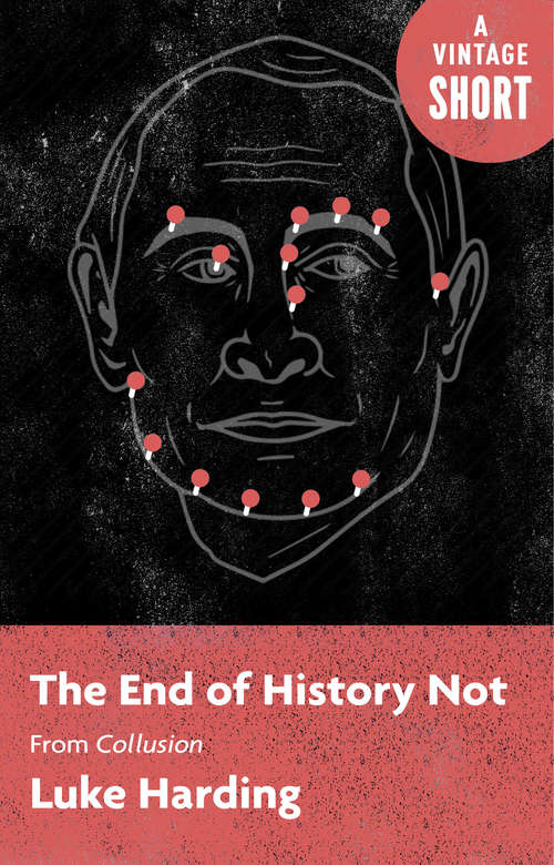 Book cover of The End of History Not: from Collusion (A Vintage Short)