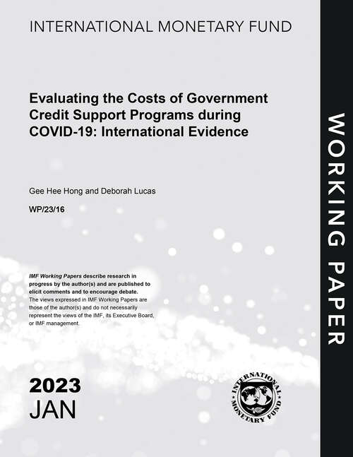 Book cover of Evaluating the Costs of Government Credit Support Programs during COVID-19: International Evidence
