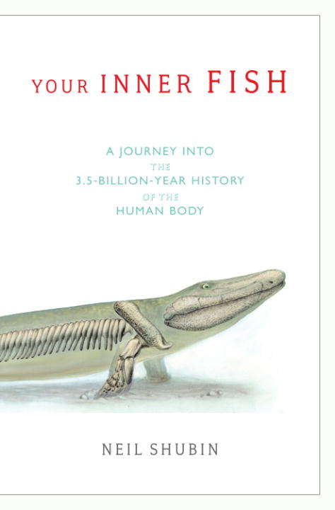 Book cover of Your Inner Fish: A Journey into the 3.5-Billion-Year History of the Human Body