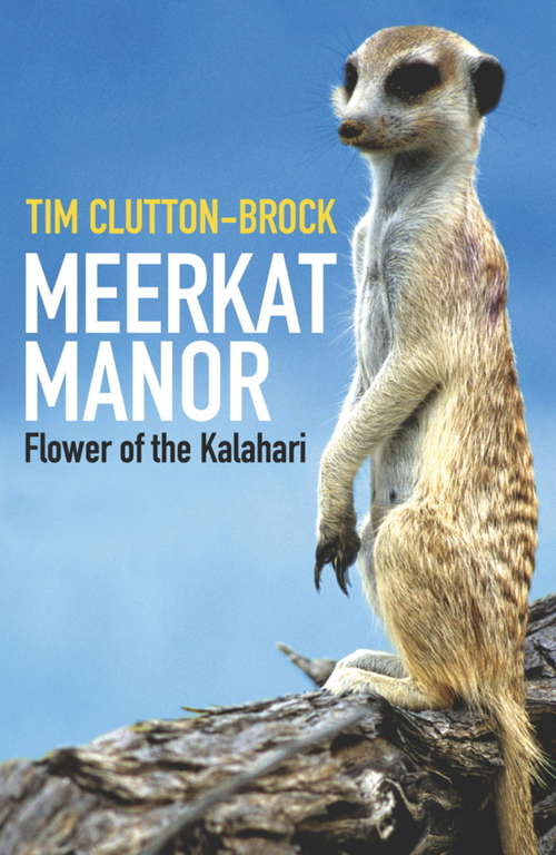 Book cover of Meerkat Manor: Flower Of The Kalahari