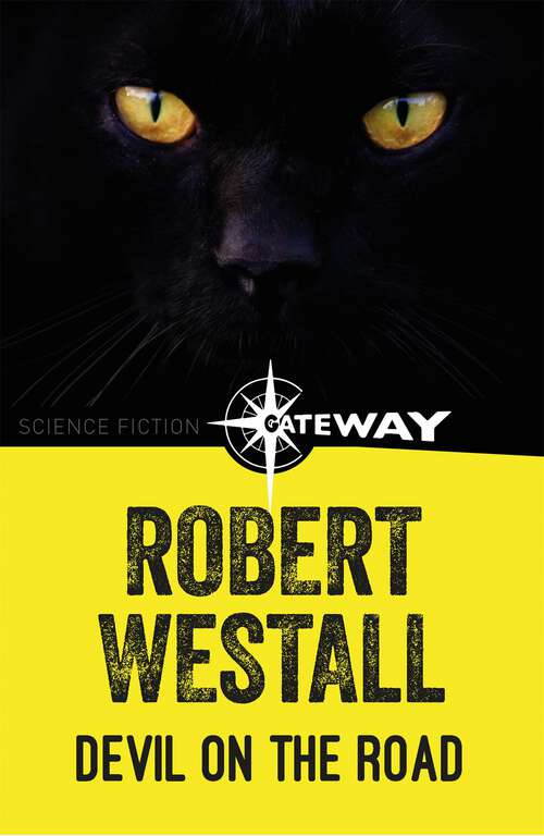 Book cover of Devil on the Road