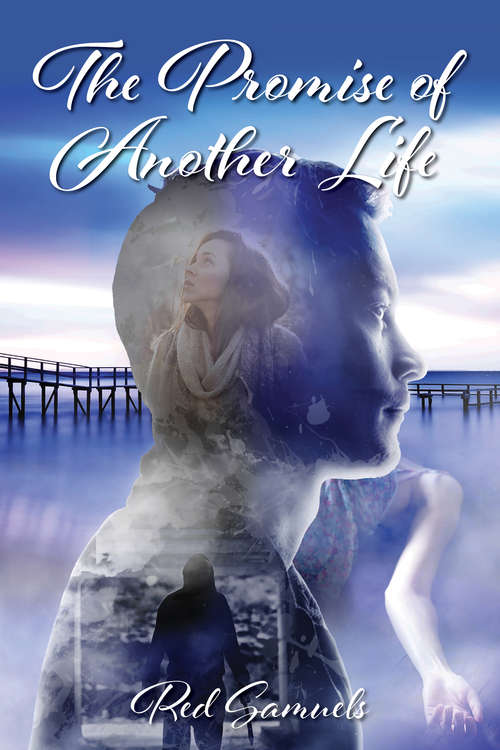Book cover of The Promise of Another Life