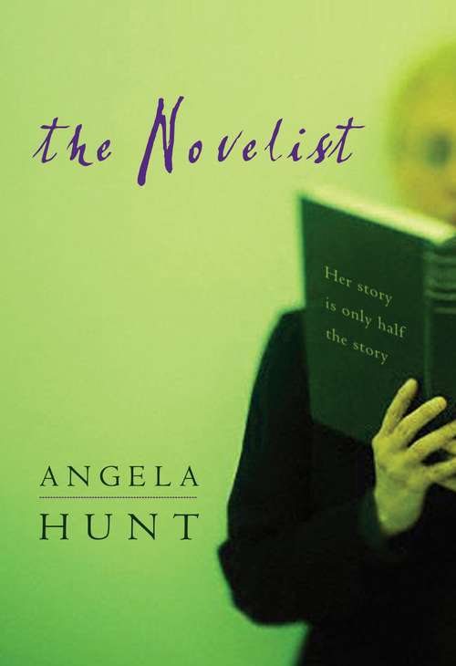 Book cover of The Novelist