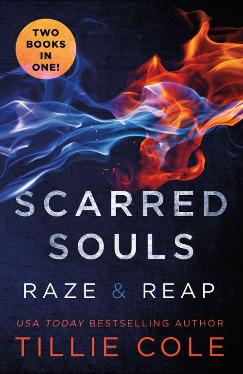 Book cover of Scarred Souls: A Scarred Souls Novel (Scarred Souls Ser. #4)