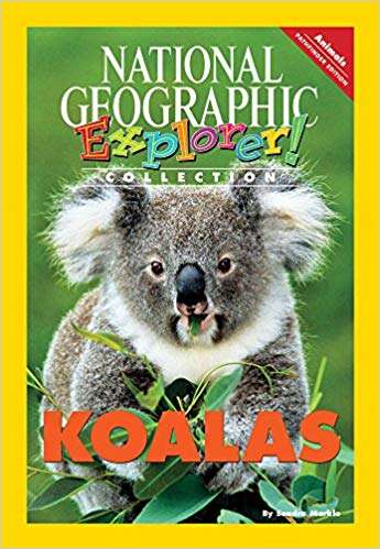 Book cover of Koalas, Pathfinder Edition (National Geographic Explorer Collection)