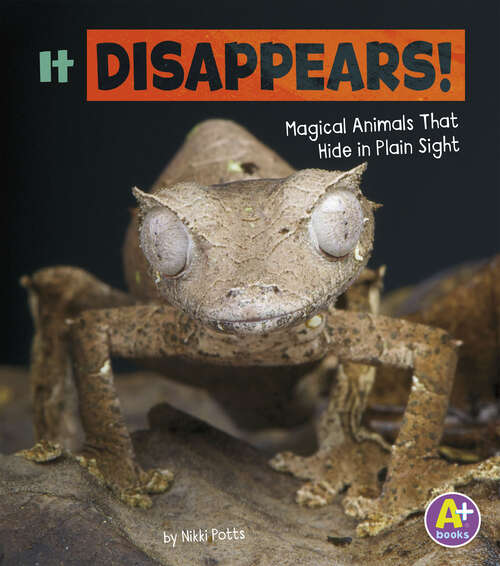 Book cover of It Disappears!: Magical Animals That Hide In Plain Sight (Magical Animals Ser.)